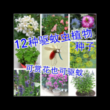 ��òݷN�ӻ��N�ӻ��ݳ��x���ײ��ļ����̨���ԷN�ѽM�ϰ���