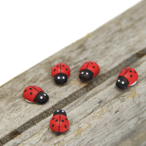 Micro-landscape mini ladybug, wooden beetle, cartoon beetle, moss micro-landscape succulent ornaments