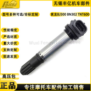 Qianjiang 300750 Huanglong 750BN600BJ300BJ302 High Voltage package ignition coil electric injection High Voltage package Wireless