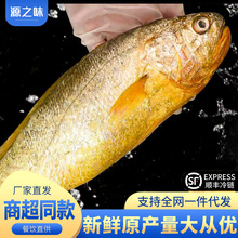 ��ɽ���S�~���r�S���~�r��������r���S�~���r��؛�ͶYƷ����