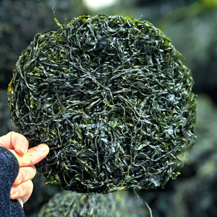 ��������ϼ�ֺ����z�ɡ��x�����gƬ�� �񌍴�ˬ 6���ؔ�������l