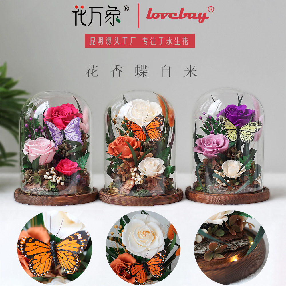 Flor de la eternidad, regalos del día del hombre, regalos de navidad, regalos de cumpleaños, regalos de rosa, regalos de vidrio, regalos de navidad, regalos de cumpleaños, regalos de navidad, regalos de cumpleaños, regalos de navidad, regalos de cumpleaños, regalos de navidad, regalos de cumpleaños