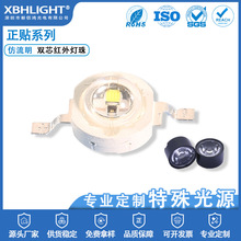 Oؔz^ʈDƬt850nmӰ׹ ͸R