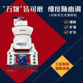 烟化炉磨煤机 大型中速磨煤机型号推荐 年产30万吨清洁煤粉设备