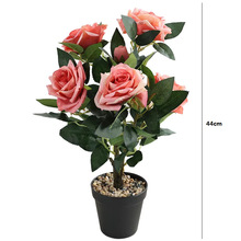 ��������õ���辰5��3��õ�����ԼҾ������b[�����R�d�羳����