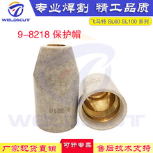 SֱNwRSL60/SL100  9-8218oñxӸĲ