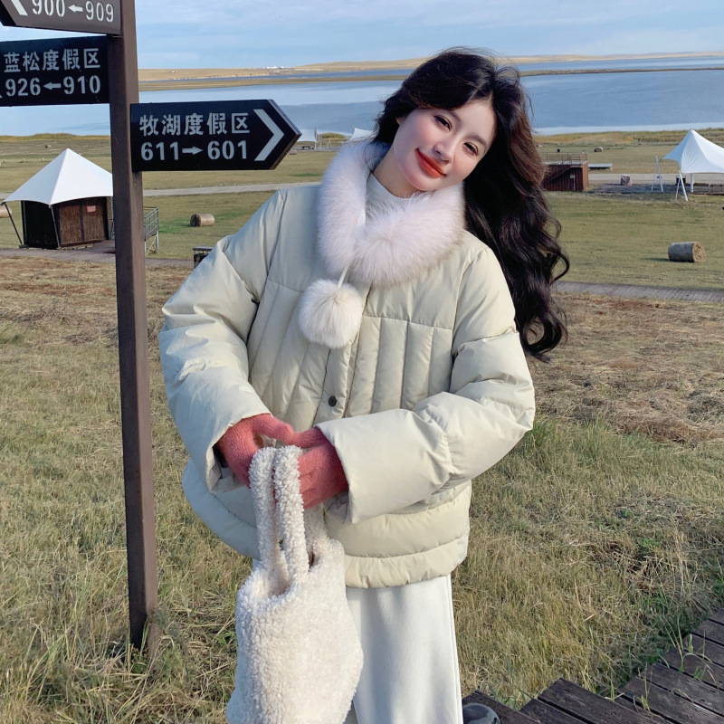 실제 촬영된 연두색 심플 캐주얼 스타일 여성용 소형 다운 재킷 2026 겨울 신상 화이트 덕다운 보온 숏패딩