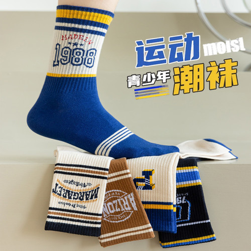Socks Men's Mid-Tube Socks New Autumn INS Trendy Youth Deodorant Cotton Socks Men's Basketball Sports Stockings Wholesale