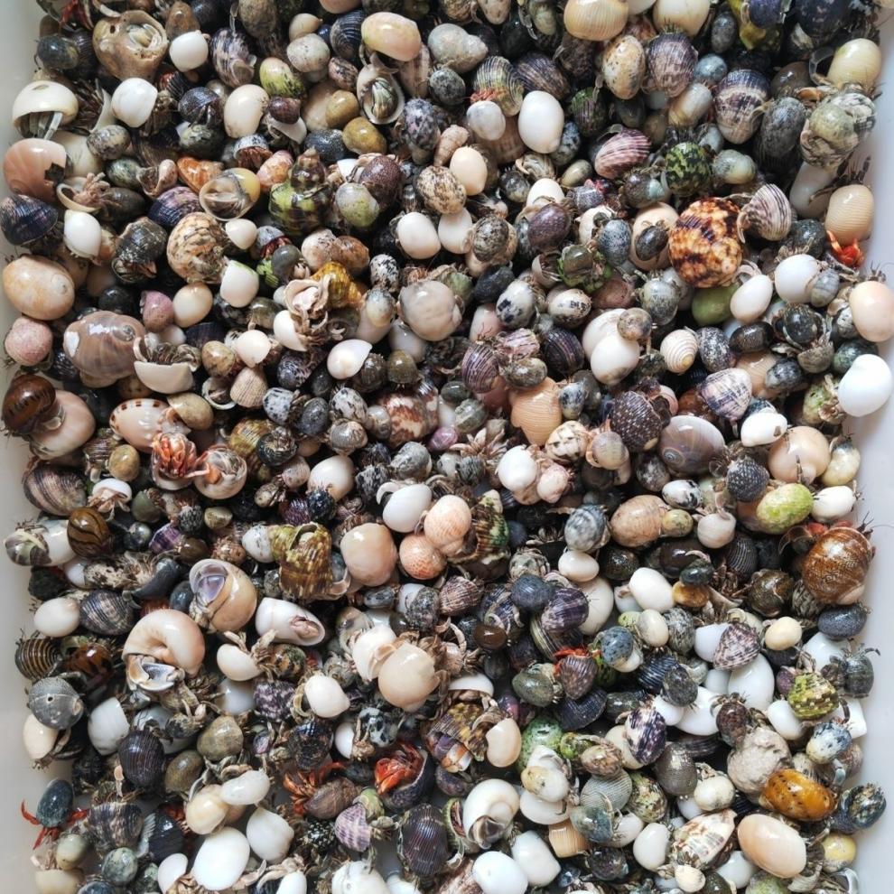 4c04a42b-0414-466b-8e85-465db5ec64ff.jpe