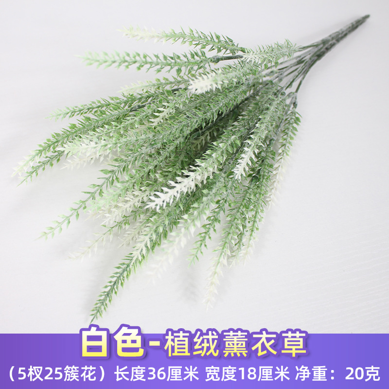 Lavanda flocada blanca