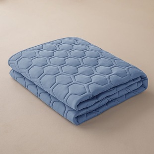 New Bed Protector Machine Washable Household Thin Mattress Sleeping Pad Single Dormitory Anti-Slip Blanket Four-Season Factory