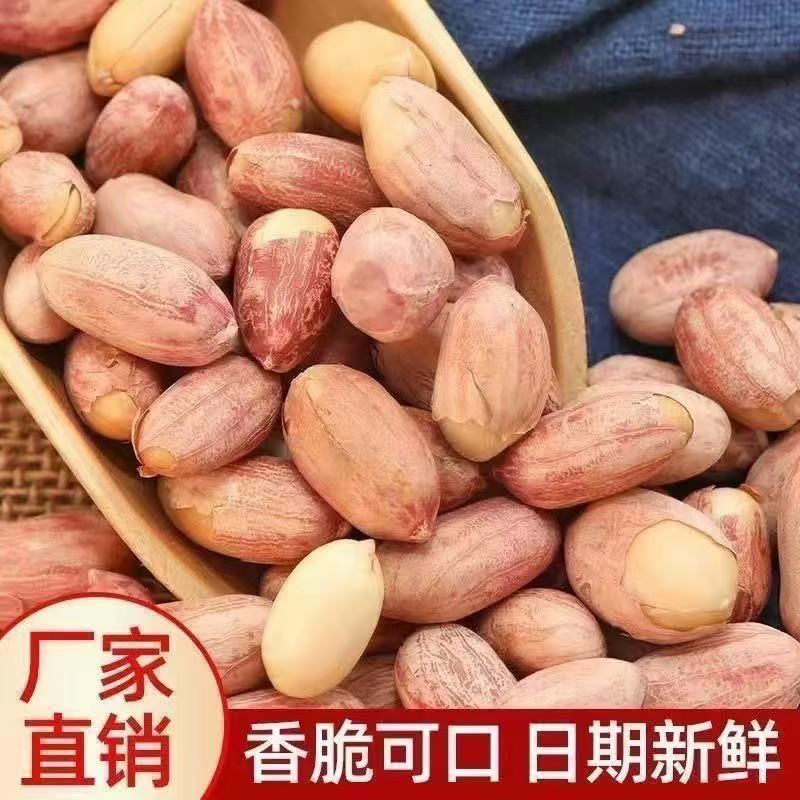 新五香花生米山东特产烤熟蒜香奶香原味铁观音休闲零食代发批发|undefined