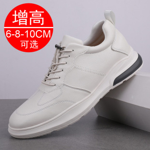 �����n���[�΃�������Ь10cm�\��Ь��Ь��ʿ����Ь8cm���e��Ь��6