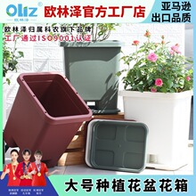 �¿����N���� �������ϻ����̨�N�˷N���ش��L���ηNֲ�����l