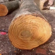 ��z�ľ��ԭľ�Ԏ���ζ�a��ֱ�N�����Ĵ�С�~�E�ԭľ�PͲ�ϻ�ƿ