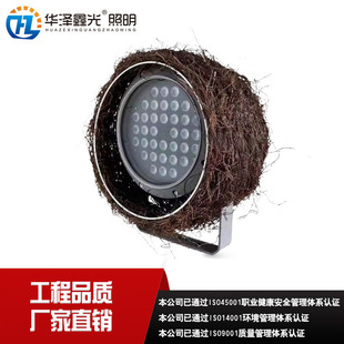New garden landscape LED projection Light Green Light 24w36w according to Tree Bird Nest light DMX512RGB full color bird nest light