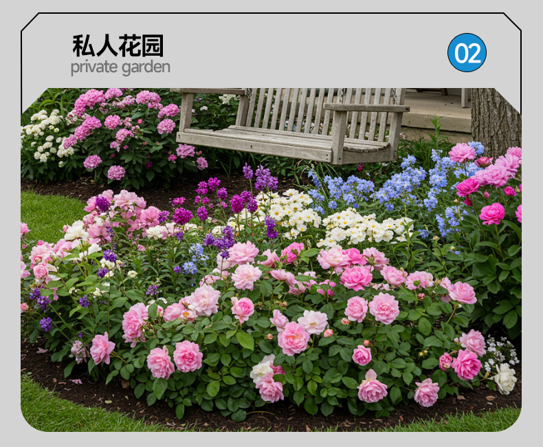 详情_08.jpg