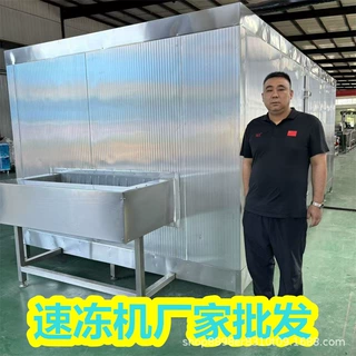 大型食品速冻机 杂粮清洗冷却流水线 海棠果冷冻机器使用方法