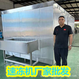 流态化食品冷冻隧道 蚕豆仁分选加工流水线 刺梨果粒速冻设备