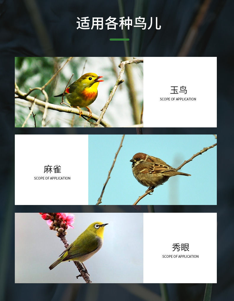 b889a25e-02ee-4218-8958-cc4018c646a0.jpe