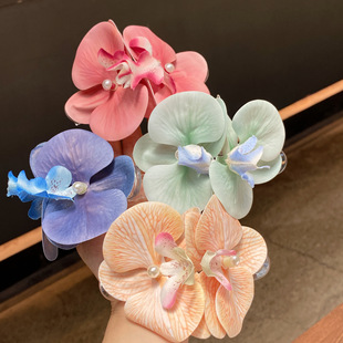 �߼��Շ��н��������m����l�A��Ů�Ă�߅�A�l�������ɭϵ�^�