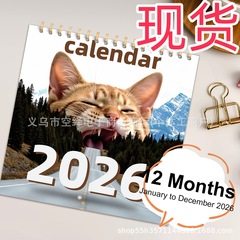 2026跨境新品Magical Cat抽象魔法猫日历是猫爱好者的理想礼物