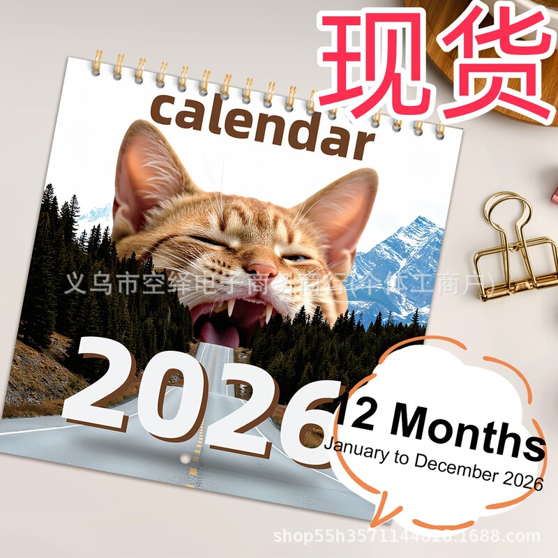 2026跨境新品Magical Cat抽象魔法猫日历是猫爱好者的理想礼物|undefined