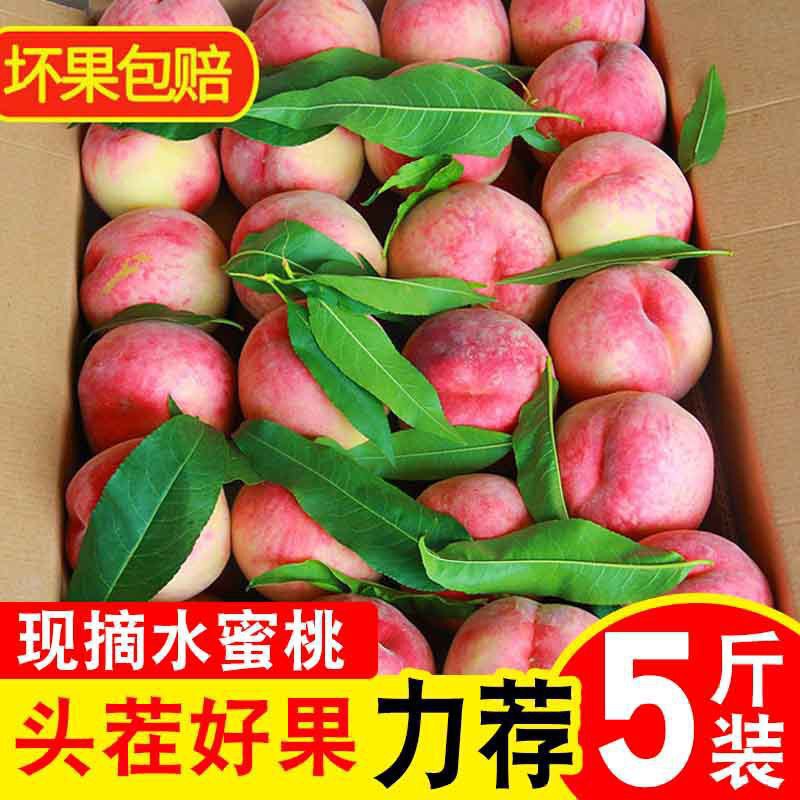 Fresh Peaches 2.5kg Peaches Grown by Farmers, Whole Box of Fruit, Suitable for Pregnant Women, Red-Fleshed Peaches, Large, Crisp, Sweet, and Delicious