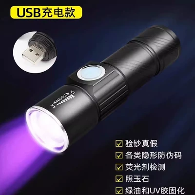 Uv Curing Flashlight, UV fənərlər