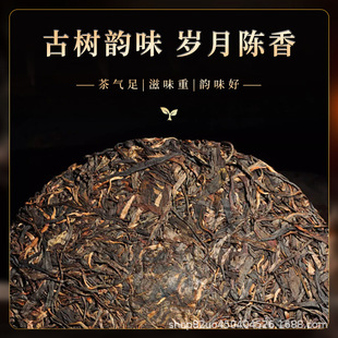 2006������ն��������ϲ��ϰ��¹Ř�ɂ}ʮ���������տڼZ���~�