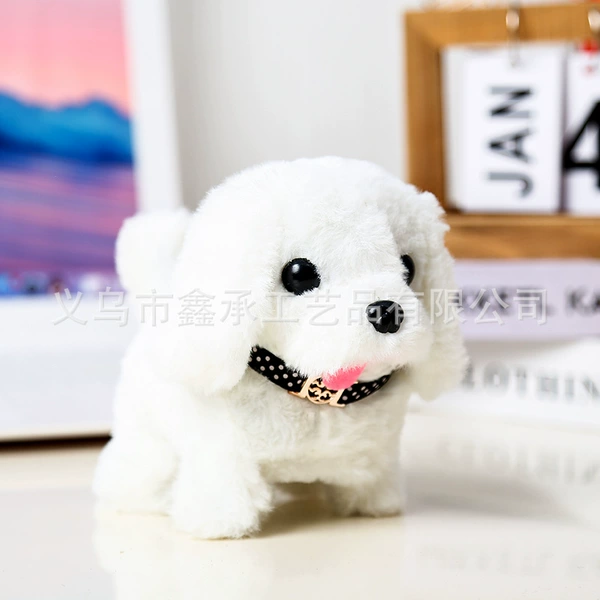 Bichon Frize