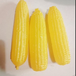 �����������t�������������}�������S�ϰײ������߲˼����׵���