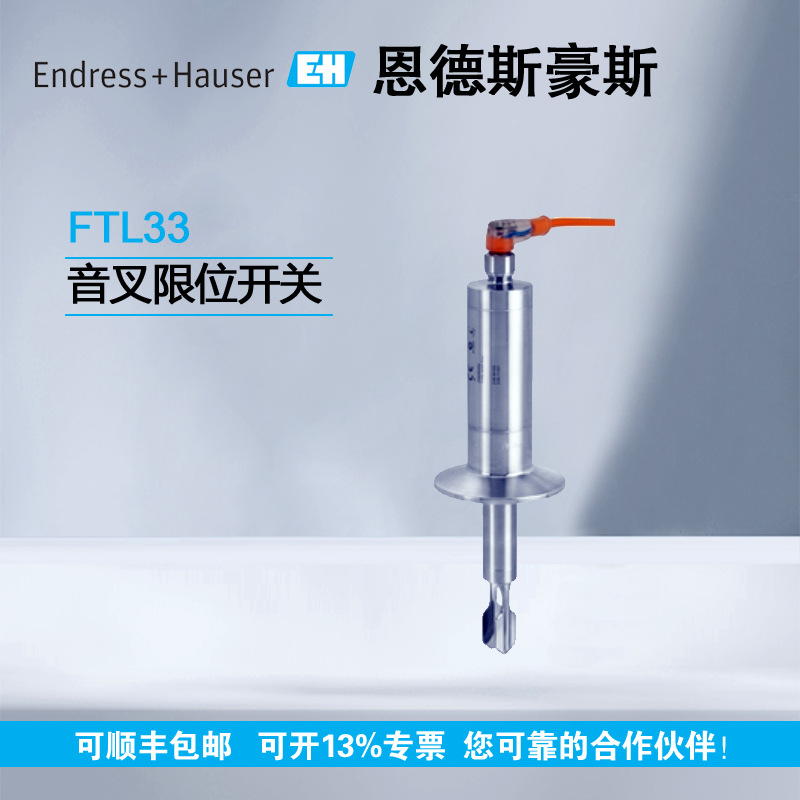E+H 音叉液位开关FTL33-10R4/0 FTL33-AA4M3ABWSJ 原装现货询价