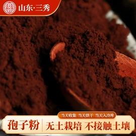 灵芝;盆景;库存农产品