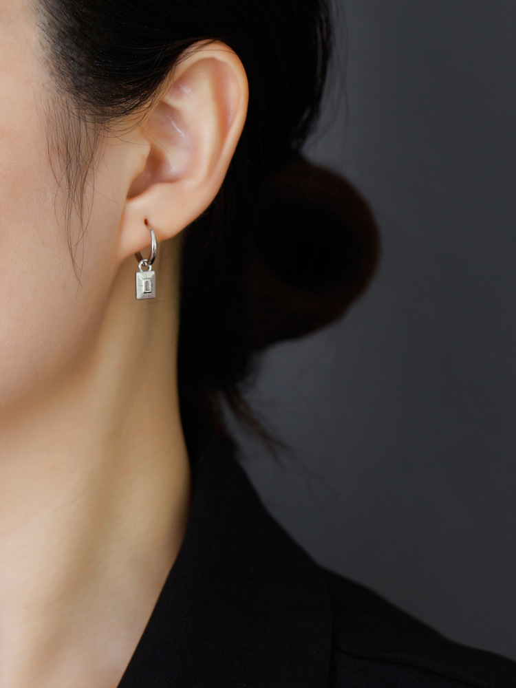 Fashion Geometric Sterling Silver Inlay Zircon Dangling Earrings 1 Pair