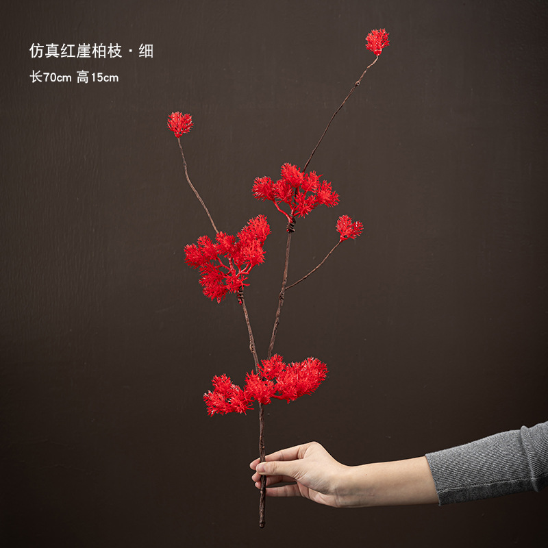 작은 붉은 thuja 소나무 가지