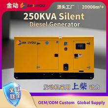 ȫ�Ԅ������ϲ�l늙C 250KVA�Bֳ�����ò��Ͱl늙C�M