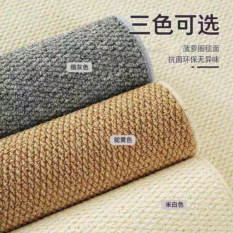 玄关入户门地垫三防菠萝圈绒地垫客厅耐脏耐磨防猫抓地毯现货批发