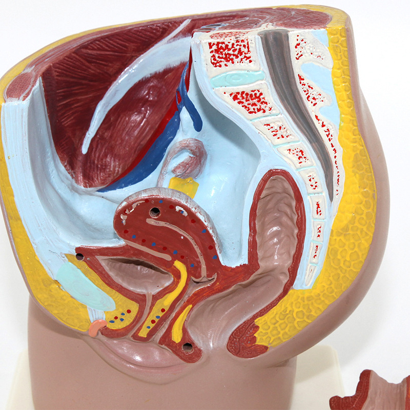 O1CN01ALOkAY2Kk6XixAG8t_!!3578