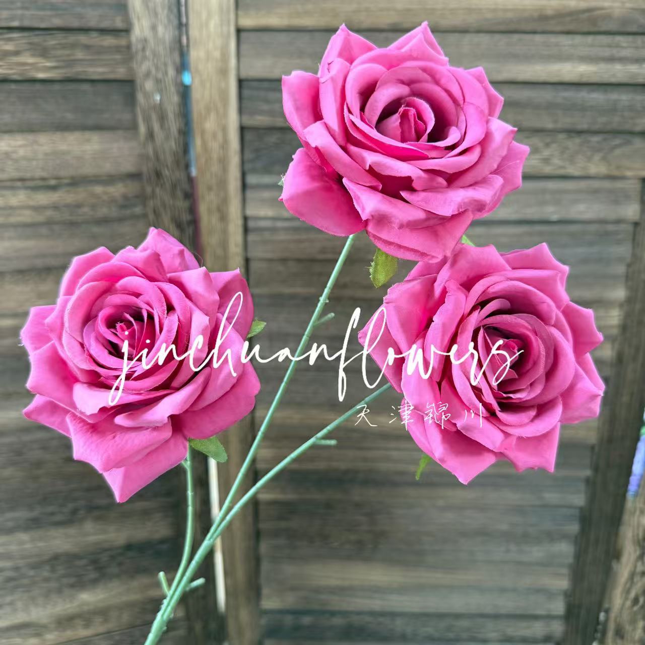 라이트 로즈 레드