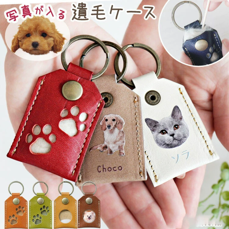 Спот Lotte горячие продажи домашних животных