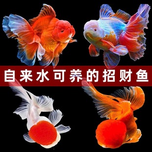 �t�{���^���~���\���^�t�~����ˮ�~���R��ˮ�~�~�����~�^�p�~