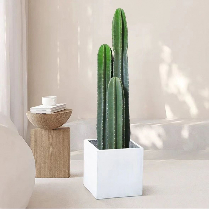 新款仙人柱大型大花量天尺镇组合宅客厅造景室内防辐射除甲醛