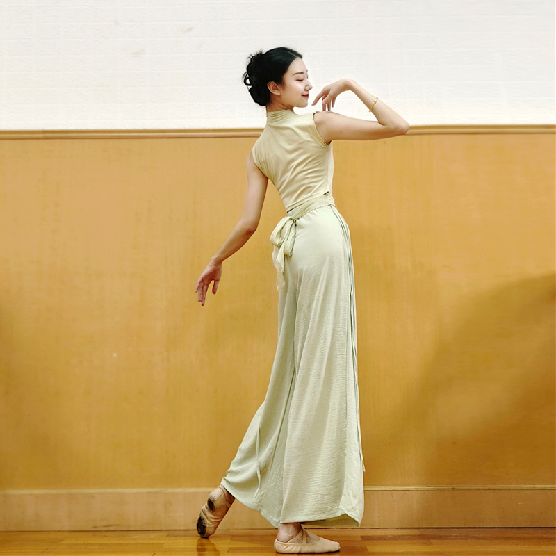 Classical Dance Body Training Clothes, New Summer Daily Wearable Tops, Modern Dance Backless Short-Sleeved Dance Clothes