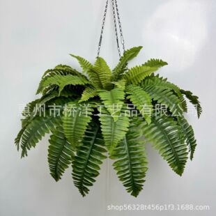 Cross-Border Amazon Popular Hanging Basket Set Simulated Persian Grass Plant Green Plant Wall Decoration Flowers and Green Leaves Fern Belt