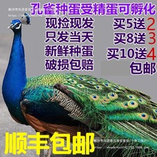 ��ȸ��ȸ����ȸ�N���N���N��ȸ��ȸ�����{��ȸ�����ܾ��N��������