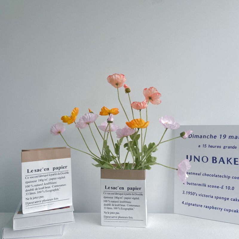 Nordic Ins-Style Kraft Paper with Picnic Decoration, Large Paper Bag as a Photography Prop, Gift for Friends, Home Decor Item