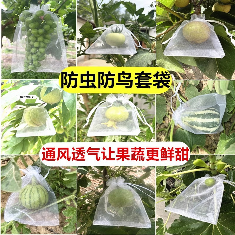 果蔬防虫袋果实蓝莓番茄葡萄火龙果套袋瓜果防虫网防鸟网袋专用袋