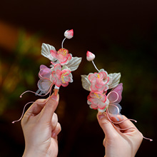�h���ɐ�������ɫ���ĠC���l�A���ᷴ���������Y����Lɭϵ���A