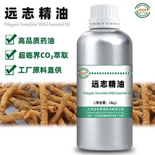 远志精油 超临界萃取远志油 高品质原料 工厂大量现货直供 50ml